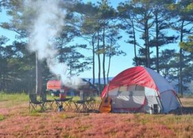 Tour Camping 1989 – Cắm trại Đồi Cỏ Hồng