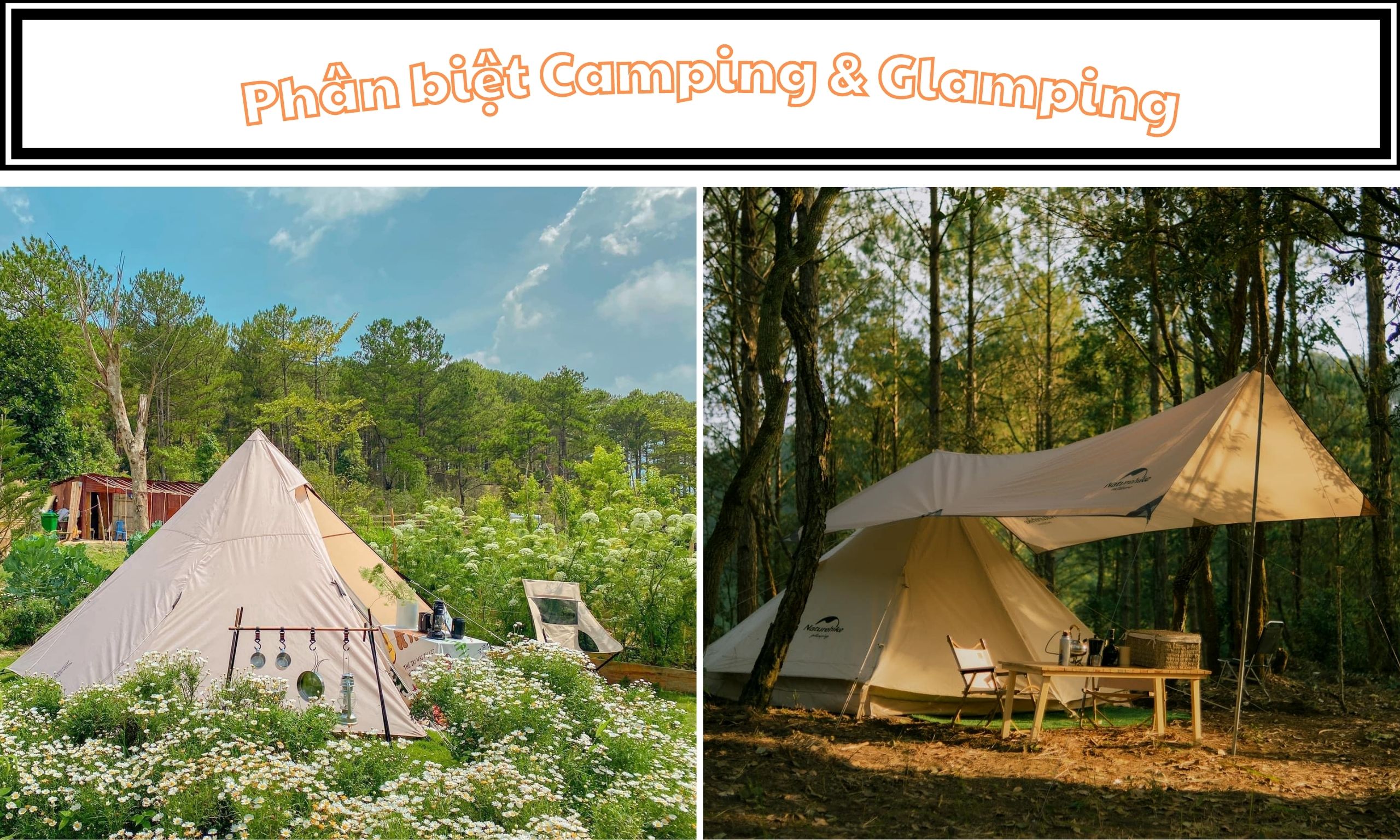 Phân biệt giữa Glamping & Camping