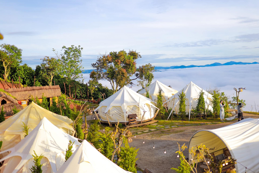 Camping Đà Lạt - Cắm trại trải nghiệm thiên nhiên Đà Lạt