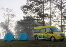 Tour Cắm trại Thung Lũng Vàng, cắm trại giữa thiên nhiên – Dala Travel
