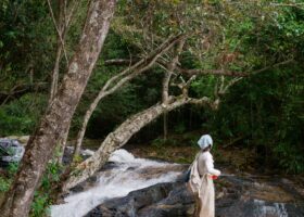 Tour Cắm trại Trekking khám phá The Hidden Waterfall – Dala Travel