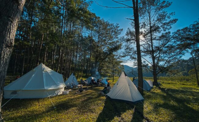 Tour Cắm trại, chèo thuyền, BBQ giữa thiên nhiên – Dala Travel