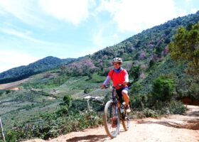 Tour đạp xe, cắm trại khám phá rừng mai anh đào – Đà Lạt Discovery