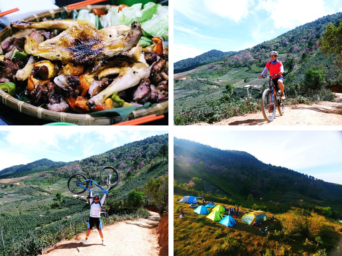 Tour đạp xe, cắm trại khám phá rừng mai anh đào - Đà Lạt Discovery
