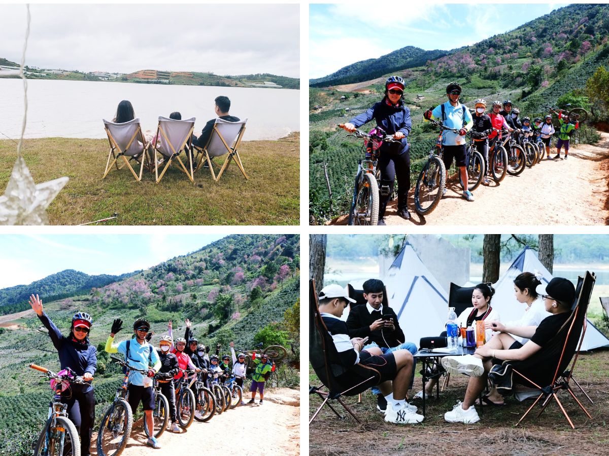 Tour đạp xe, cắm trại khám phá rừng mai anh đào - Đà Lạt Discovery