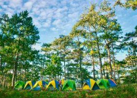 Tour trekking cắm trại VQG Bidoup – Núi Bà – Đà Lạt Discovery