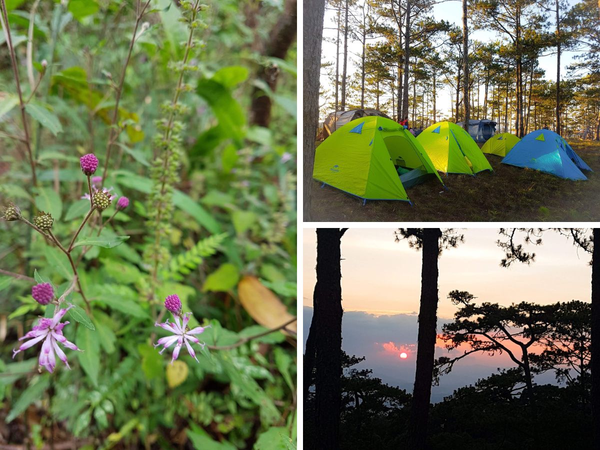 Tour trekking cắm trại VQG Bidoup – Núi Bà - Đà Lạt Discovery